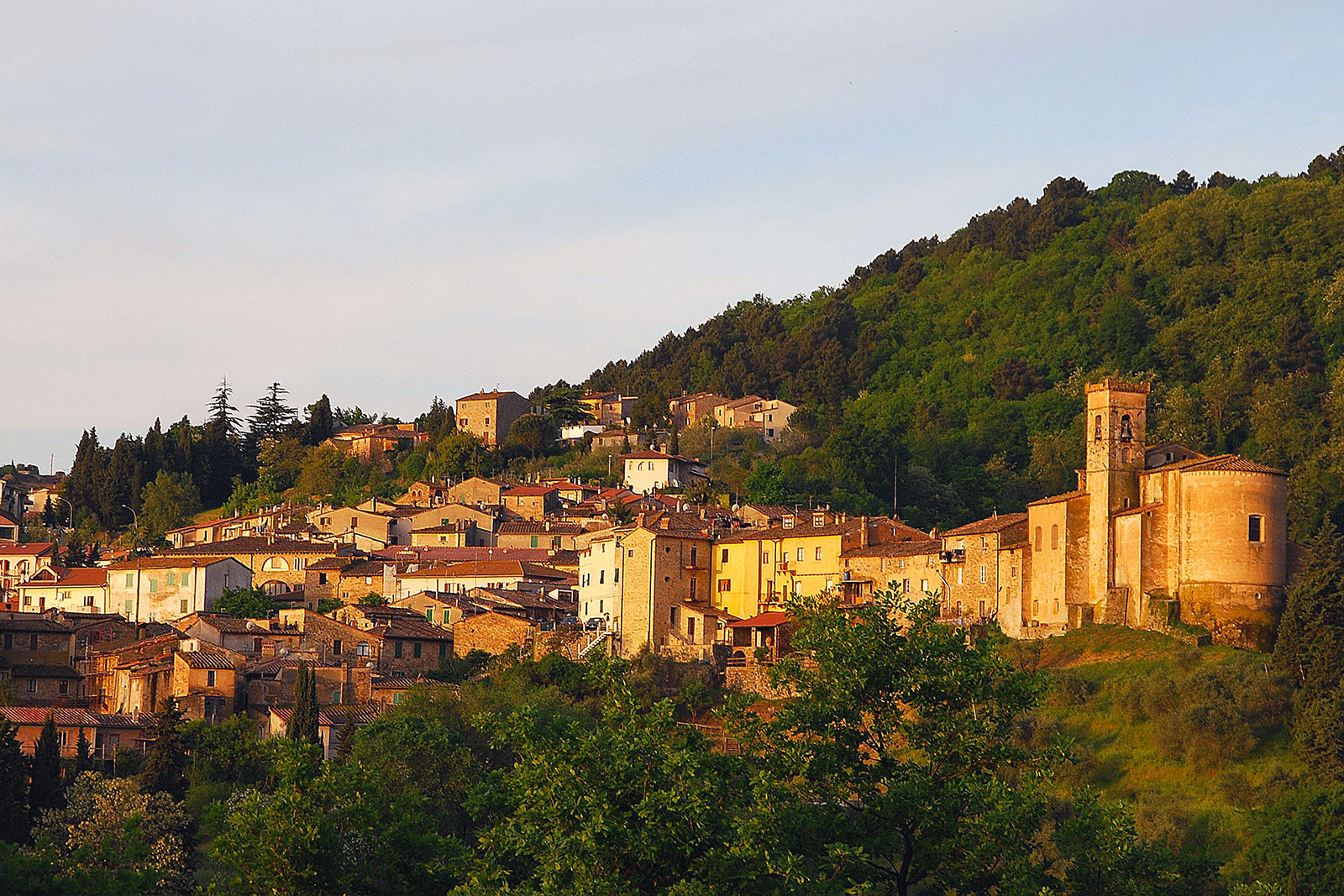 Territorio